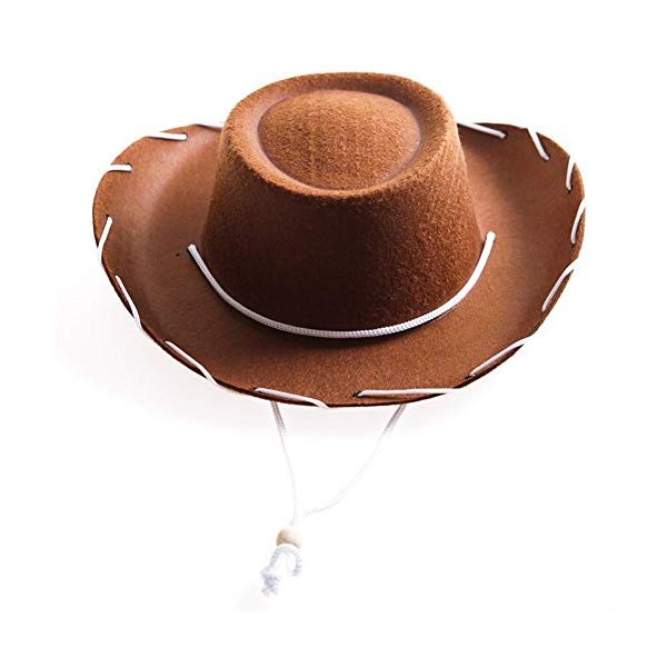 novelty cowboy hats