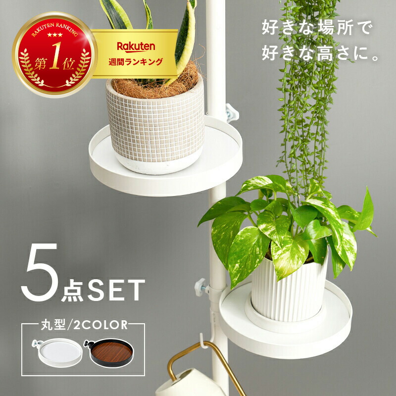 【2026年5月】寝台 度合い