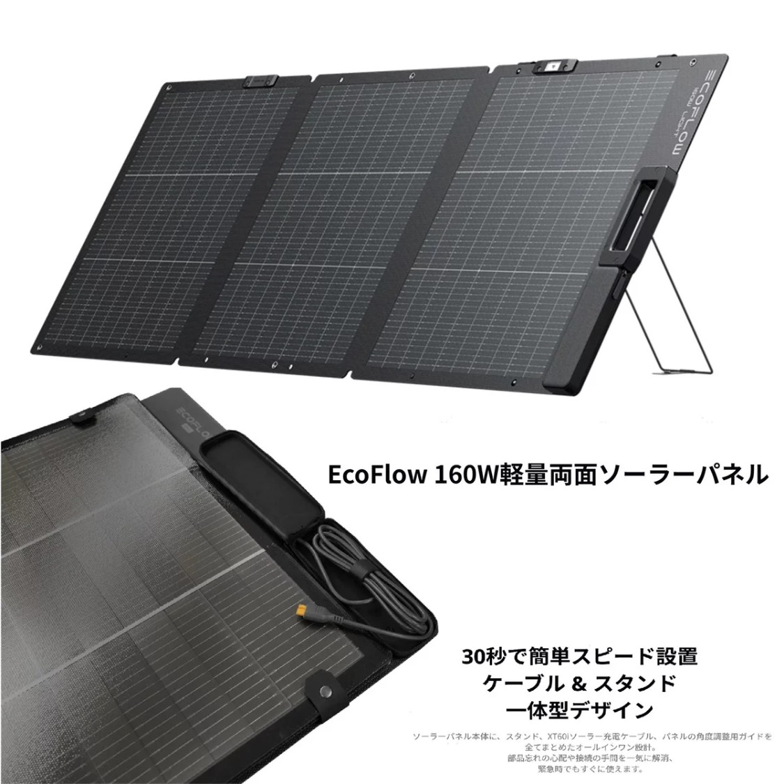 エコ流通 160W 両面ソーラーダイアログボックス EFSOLARLIGHT160WPDXT 取り替えっこ能率25％ EcoFlow 太陽の光 ダイアログボックス 携帯型 発生 明かり  難民キャンプ ワット数 不仕合わせ まさかの時 82488
