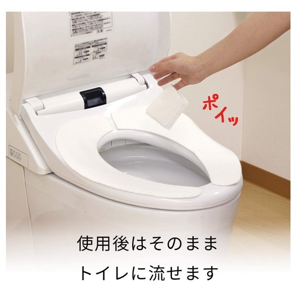 市場 ポスト投函便 レック 流せる除菌トイレクリーナー 激落ちくん 10枚入×2個パック