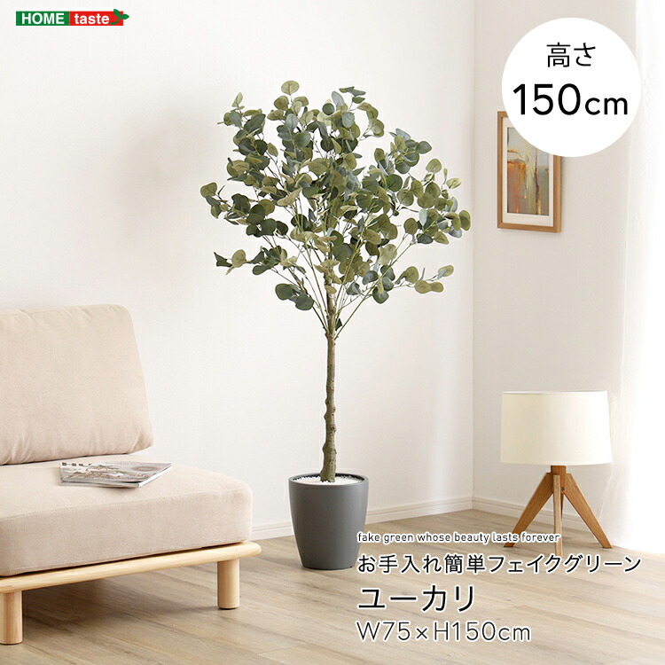 楽天市場】フェイクグリーン 人工観葉植物 ユウカリポット1.5m