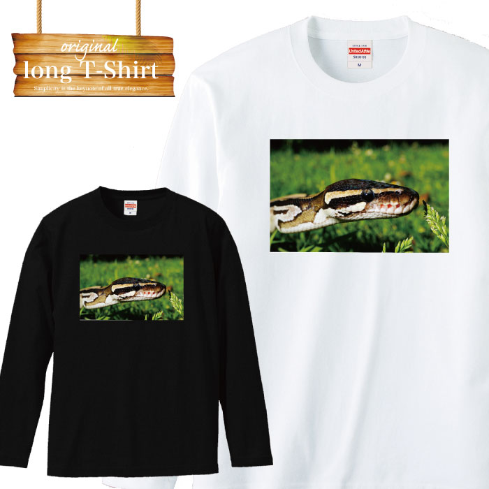 楽天市場】Tシャツ ヘビ 蛇 ヘビ柄 蛇柄 スネーク Vネック プリント