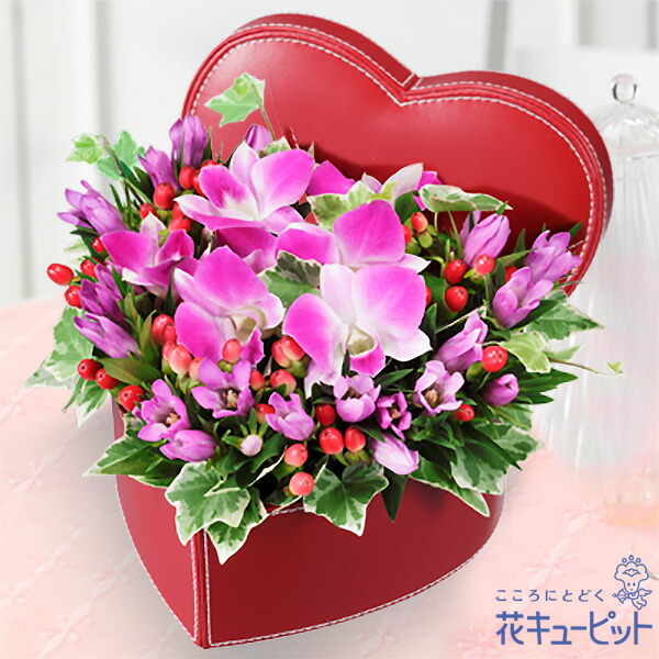 楽天市場 9月の誕生花 デンファレ ギフト 誕生日 プレゼント お祝い 記念日 友人知人 彼氏彼女 夫婦 祖父祖母 女性男性 花 キューピットのデンファレのマスコット付きバスケットya09 インターネット花キューピット