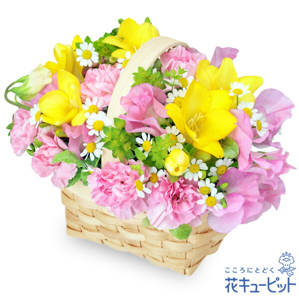 楽天市場 1月の誕生花 スイートピー お祝い 記念日 お礼 両親 父母 友達 友人 プレゼント フラワーギフト 花キューピットのスイートピー のエレガントアレンジメントya01 インターネット花キューピット