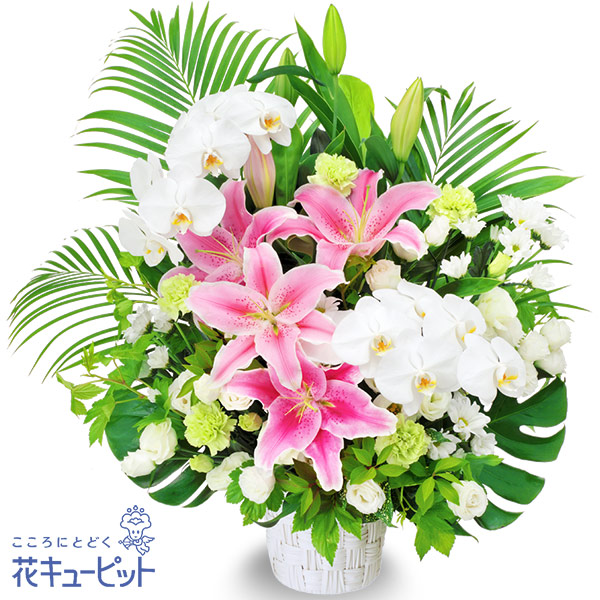 楽天市場 15時迄の注文で翌日届可 お供え お悔やみの献花 仏花 供花 法要 法事 仏事 弔事 枕花 お盆 お彼岸 初盆新盆 四十九日 一周忌 花キューピットのお供えのアレンジメントyr00 5178 インターネット花キューピット