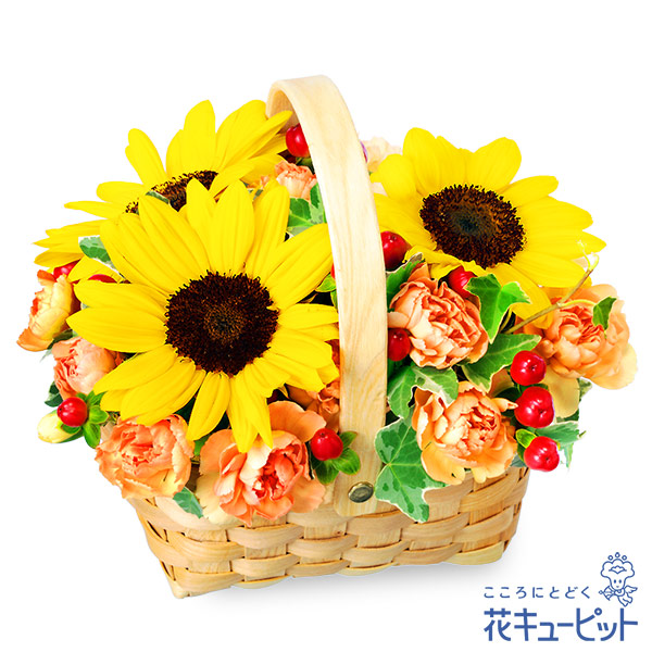 正規激安 ひまわり特集 お中元 暑中見舞い 帰省 お祝い 記念日 プレゼント フラワーギフト 花キューピットのひまわりのウッドバスケットnh01 51 Whitesforracialequity Org
