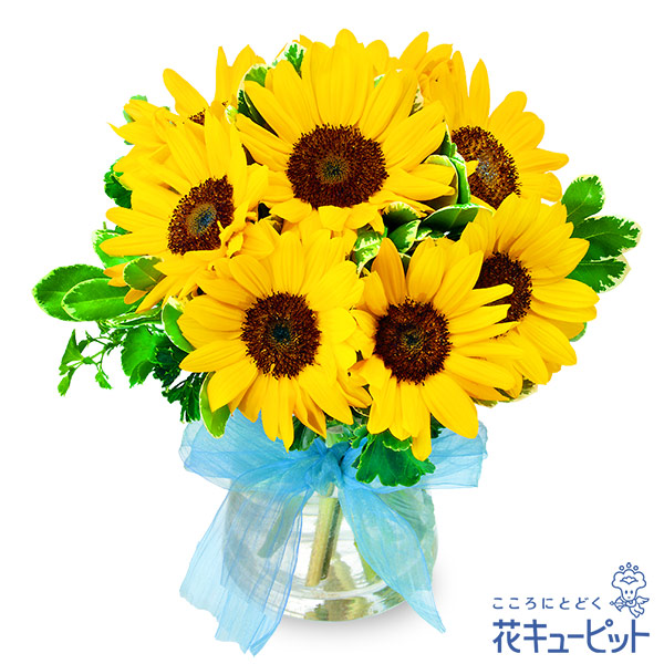 楽天市場 季節のオススメギフト 父の日 父の日フラワー インターネット花キューピット