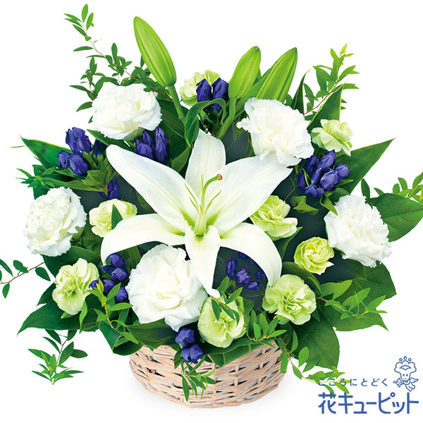 楽天市場 お盆 新盆 初盆 供花 仏花 法事 仏事 お悔やみ お供え 供物 帰省 花キューピットのお供え のアレンジメントmk00 5194 インターネット花キューピット