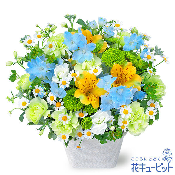 楽天市場 花キューピット 春のお彼岸 春のお供えのアレンジメントnc00 供花 お悔やみ 仏花 献花 お供え インターネット花キューピット 楽天市場 花キューピット 春のお彼岸 春のお供えのアレンジメントnc00 供花 お悔やみ 仏花 献花 お供え インターネット花キューピット
