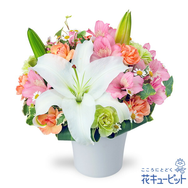 【誕生日フラワーギフト】花キューピット 花 誕生日 お祝い 記念日 プレゼント 彼氏彼女 夫婦 祖父母 友達 友人 ユリとアルストロメリアのエレガントアレンジメントya00-512523 4,420円