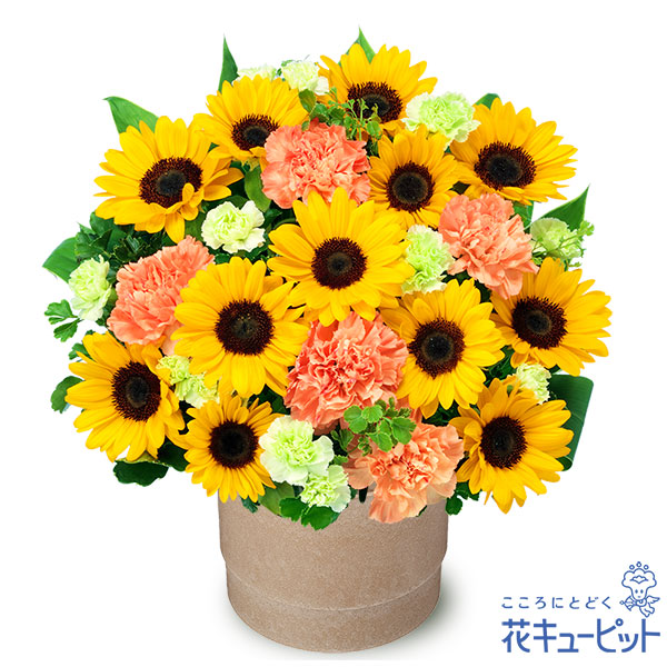 【生まれ落ちる日お花差し上げ物】花キューピット 花 生まれ落ちる日 祝い事 不死化日 差し上げ物 彼意中の女 夫婦関係 祖父母 友だち 友だち ひまわりのポット申し合わせya00-512588