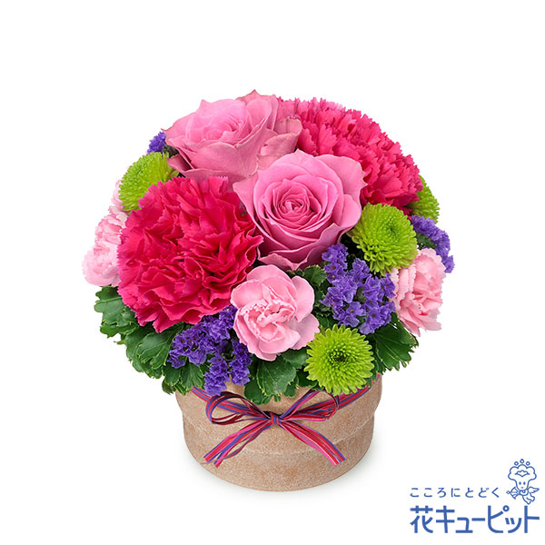 花キューピット 5月の誕生花（ピンクバラ） お祝い 記念日 誕生