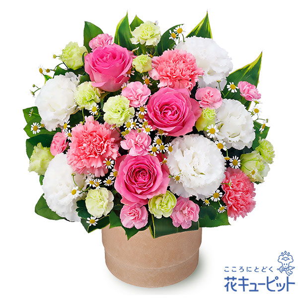 【開店祝賀会・開業祝賀会】花キューピット 花 差し上げ物 築き上げる 移し替える 引っ越し 不死化日 儀式用 プレゼントピンクバラのポット申し合わせyf00-512608