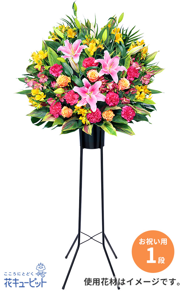 花台座 Amazon.co.jp: 鉄の花屋の陳列台のスタンド12のプラスチック製の