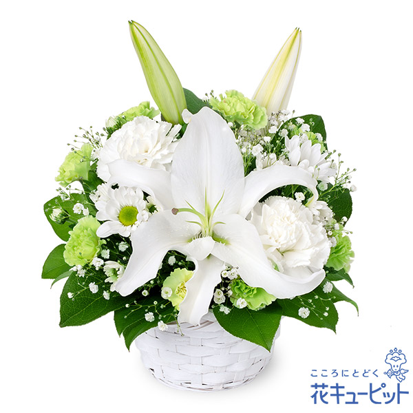 【お供え・お悔やみの花】花キューピット 仏花 供花 法要 法事 仏事 弔事 枕花 お盆 お彼岸 初盆新盆 四十九日 一周忌 お供えのアレンジメントyr00-512679