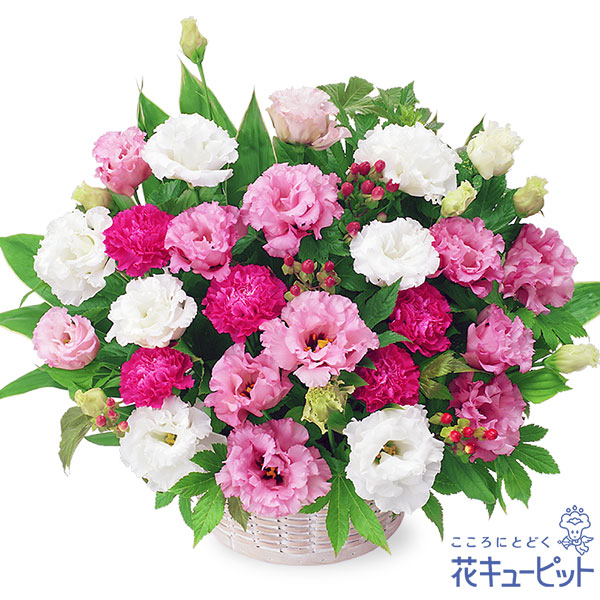 今季注目 M3VH7DM8OJN [M3VH7DM8OJN]
