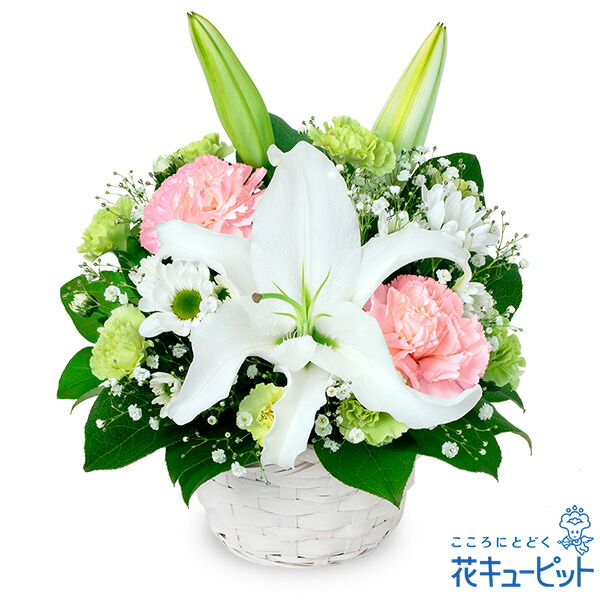 【お供え・お悔やみの花】花キューピット 仏花 供花 法要 法事 仏事 弔事 枕花 お盆 お彼岸 初盆新盆 四十九日 一周忌 お供えのアレンジメントyr00-512777