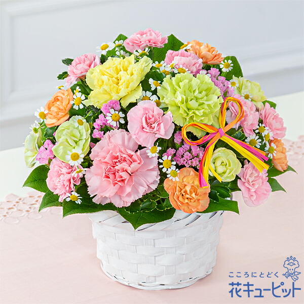 【母の日ギフト】花キューピット【日付指定可】 2026年 まだ間に合う プレゼント 花 女性 お母さん ママ 誕生日 60代 70代カーネーションのミックスアレンジメントmt01yr-521357
