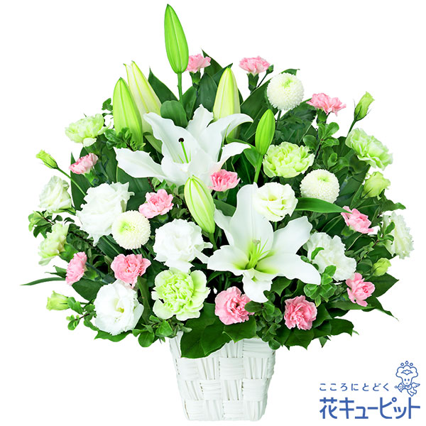 【お供え・お悔やみの花】花キューピット 仏花 供花 法要 法事 仏事 忌中 枕花 御盆 お覚悟 初盆新盆 四十九日 一周忌 お供えの申し合わせyr00-524005