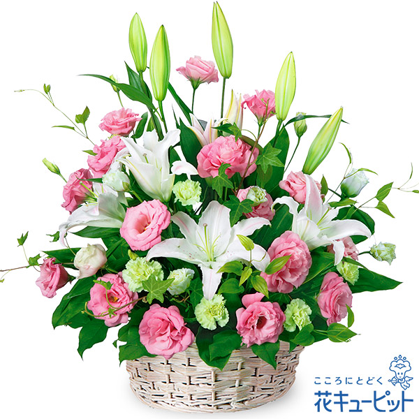 圧倒的人気 MUXLP8T8YJB 型番:MUXLP8T8YJB