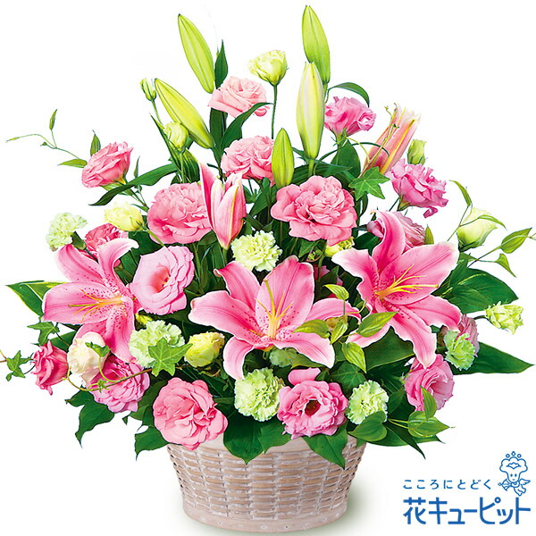 大人気 M4Z5CZ0M819 型番:M4Z5CZ0M819