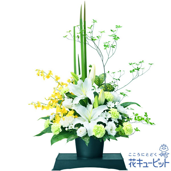 [リピート多数 【即日発送】 ] MZBFW4ZYRO7 (MZBFW4ZYRO7)