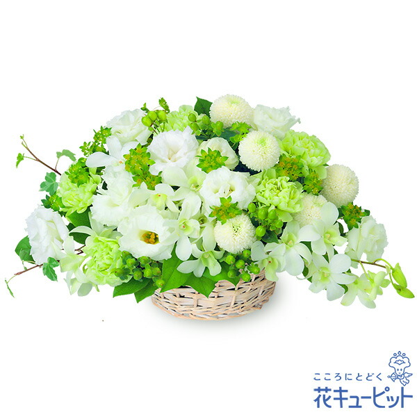 本日発送  【M42G2WU0CXF】 限定デザイン