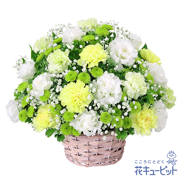 大人気 本日発送 M2KHKOQQZXT 型番:M2KHKOQQZXT