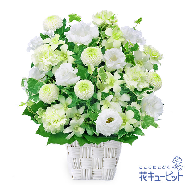 【お供え・お悔やみの花】花キューピット 仏花 供花 法要 法事 仏事 弔事 枕花 お盆 お彼岸 初盆新盆 四十九日 一周忌 お供えのアレンジメントyr00-524189｜花キューピット 8,168円