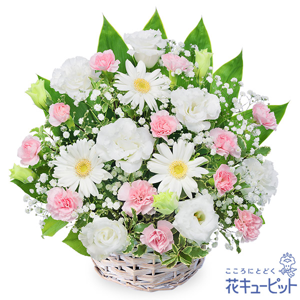 【お供え・お悔やみの花】花キューピット 仏花 供花 法要 法事 仏事 弔事 枕花 お盆 お彼岸 初盆新盆 四十九日 一周忌 お供えのアレンジメントyr00-524190