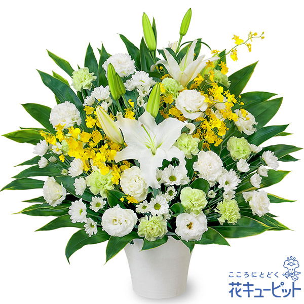 本日発送 MAICY79IPKR 型番:MAICY79IPKR