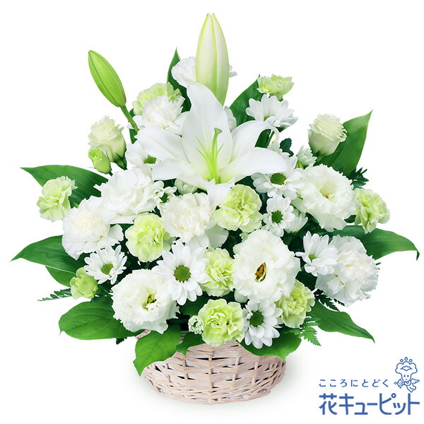 【お供え・お悔やみの花】花キューピット 仏花 供花 法要 法事 仏事 弔い 枕花 御盆 お涅槃 初盆新盆 四十九日 一周忌 お供えの申し合わせyr00-524284