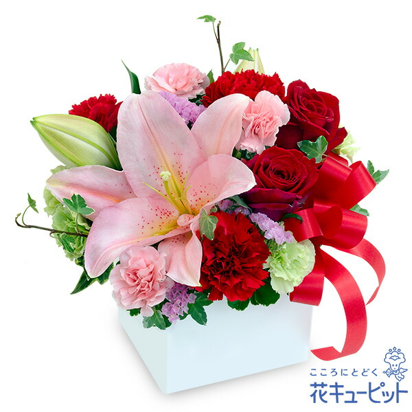 【還暦祝い・長寿祝い】花キューピット 花 ギフト 誕生日 お祝い 記念日 女性 男性 ユリと赤のキューブアレンジメントyv00-524330