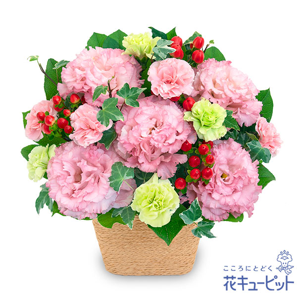 【誕生日フラワーギフト】花キューピット 花 誕生日 お祝い 記念日 プレゼント 彼氏彼女 夫婦 祖父母 友達 友人 トルコキキョウのナチュラルなアレンジメントya00-524340