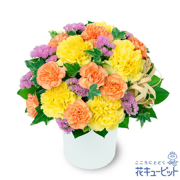 Amazon｜誕生日フラワーギフト 花キューピット 花 誕生日 お祝い