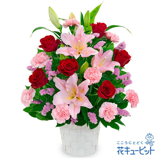 大人気 【即日発送】 M0YSVZ7BUAU 型番:M0YSVZ7BUAU