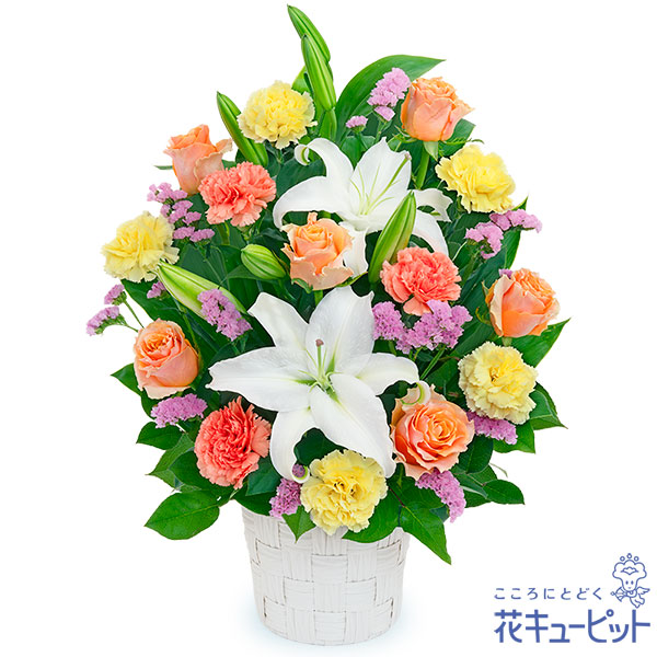 [売れ筋 最短翌日お届け ] MAHI4MWD8IM (MAHI4MWD8IM)