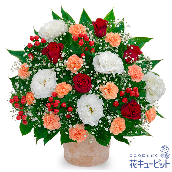あす楽対応  【M39QH6RU7NF】 限定デザイン
