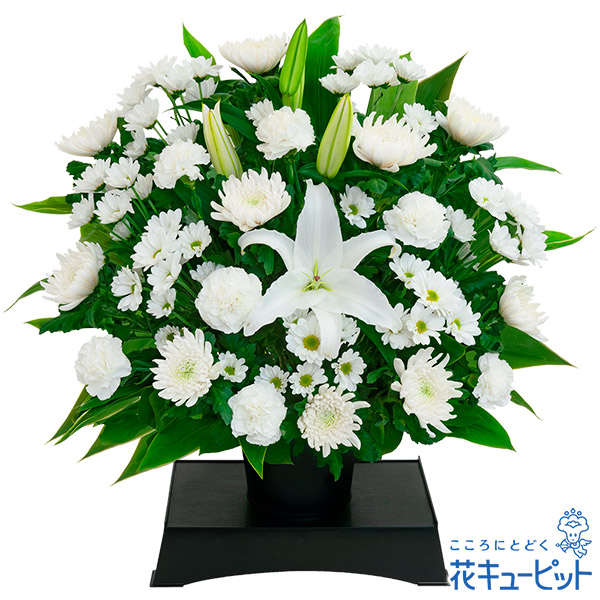 【お供え・お悔やみの花】花キューピット 仏花 供花 法要 法事 仏事 弔慰 枕花 御盆 お大悟 初盆新盆 四十九日 一周忌 お供えの申し合わせ（供花台付き添い人）yr00-524355