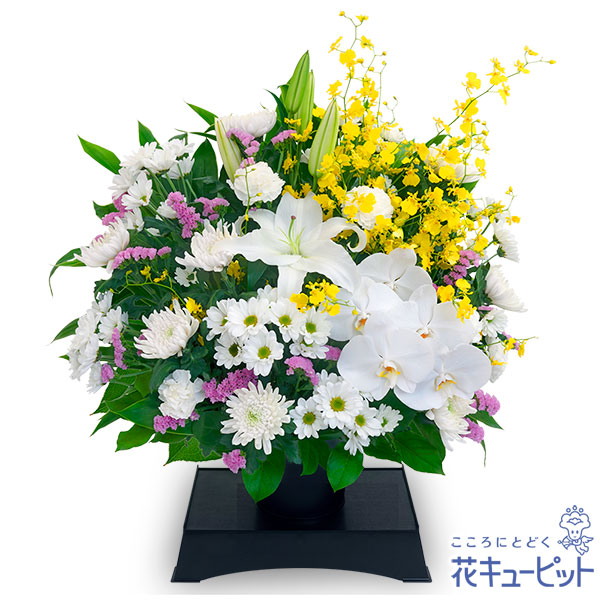 圧倒的人気 MD165OTIJ2O 型番:MD165OTIJ2O