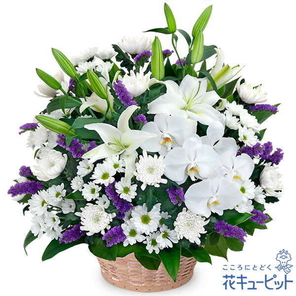 【お供え・お悔やみの花】花キューピット 仏花 供花 法要 法事 仏事 弔事 枕花 お盆 お彼岸 初盆新盆 四十九日 一周忌 お供えのアレンジメントyr00-524363