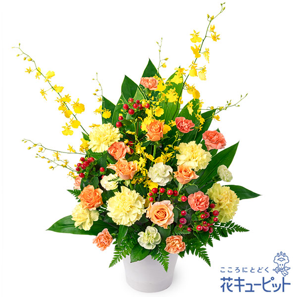 【儀式用】花キューピット 敬老の日 生まれ落ちる日 歓送迎 一緒になる 還暦 開店開業 卒はいり込む 不死化日 差し上げ物 オレンジ色薔薇の晴れ晴れしいな申し合わせyc00-524402