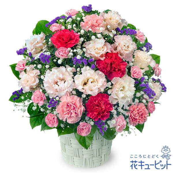 大人気 M0ZOE63MTC0 [M0ZOE63MTC0]