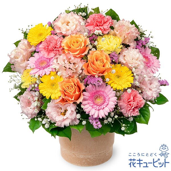 【誕生日フラワーギフト】花キューピット 花 誕生日 お祝い 記念日 プレゼント 彼氏彼女 夫婦 祖父母 友達 友人 ガーベラのカラフルなアレンジメントya00-524426 9,112円