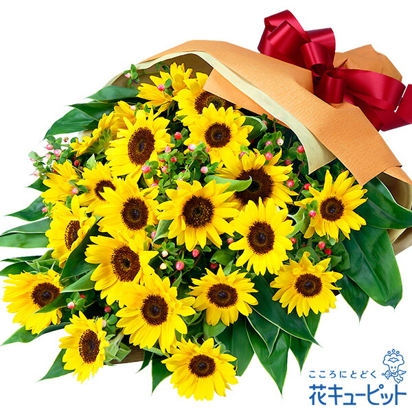 【ひまわり特集】花キューピット お中元 暑中見舞い 帰省 お祝い 記念日 プレゼント フラワーギフト ひまわりの花束nh01-525047|花キューピット