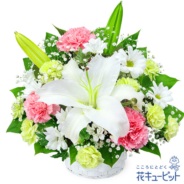 【お供え・お悔やみの花】花キューピット 仏花 供花 法要 法事 仏事 弔事 枕花 お盆 お彼岸 初盆新盆 四十九日 一周忌 お供えのアレンジメントyr00-525083
