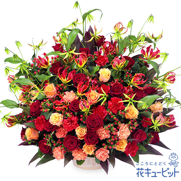 【開店祝賀会・開業祝賀会】花キューピット 花 差し上げ物 打ち立てる 移し替える 引き越す 祝する日 御祭り 差し上げ物赤いこととオレンジ色の晴れ晴れしいな塗り付ける申し合わせyf00-525150