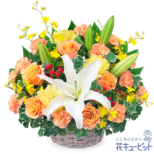 SNSで話題 MVIJRHX8F3K 型番:MVIJRHX8F3K