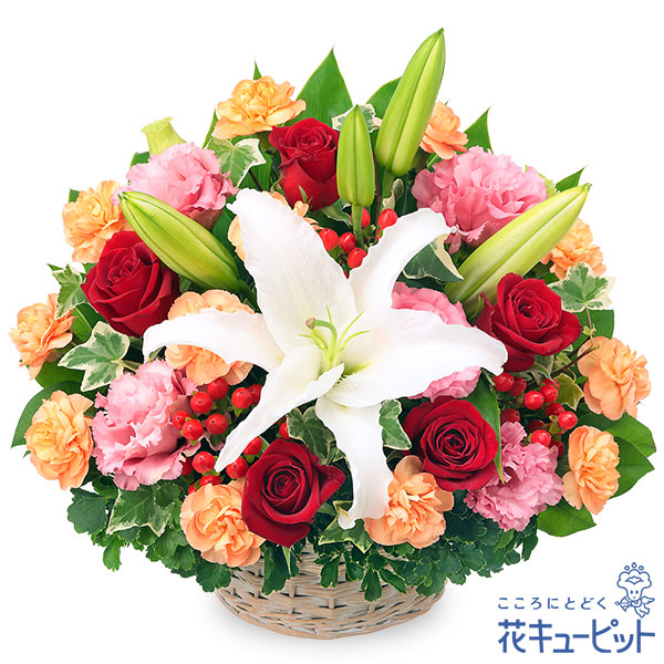 [SNSで話題 在庫あり ] MIQY1VWCOYV (MIQY1VWCOYV)