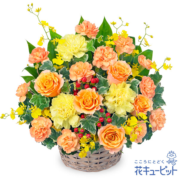 圧倒的人気 あす楽対応 MJ1X2DBP01H [MJ1X2DBP01H]